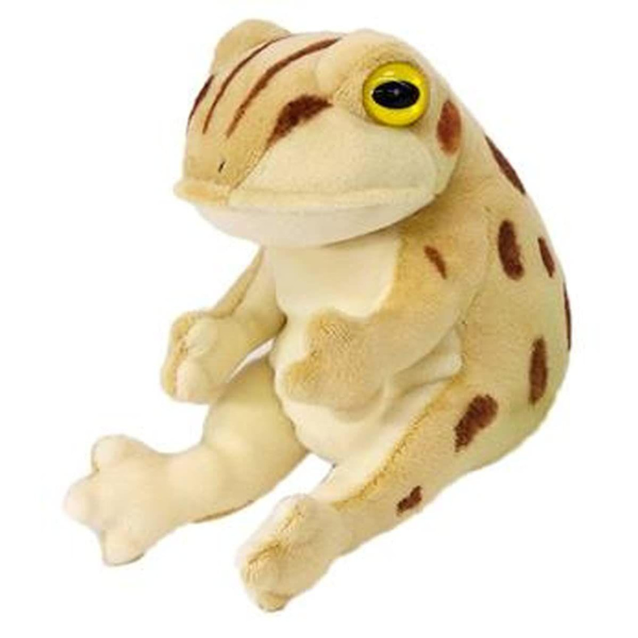 101249-sun-arrow-picnica-toad-1.jpg